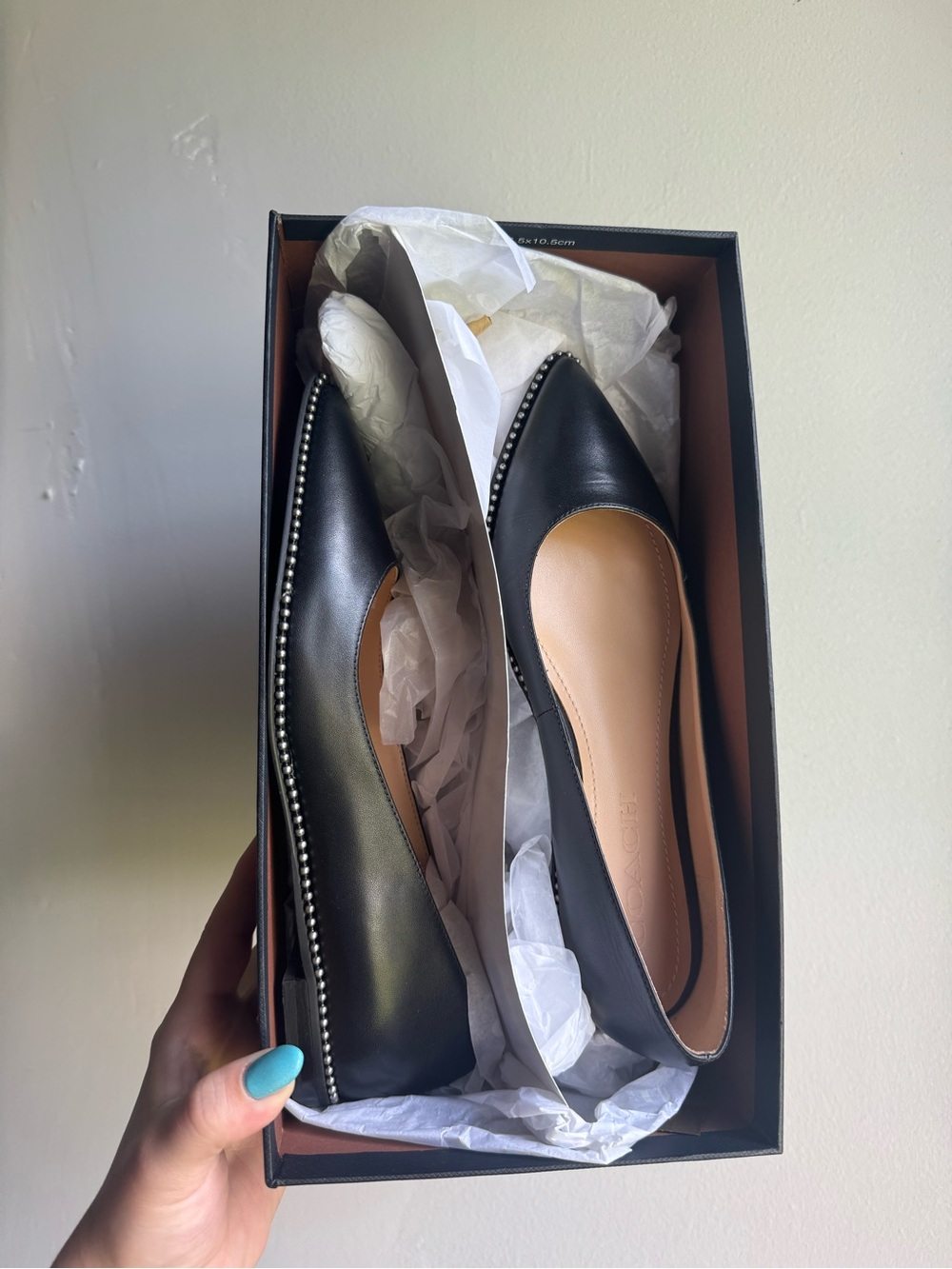 Coach Black Pointed-Toe Stud-Trim Flats